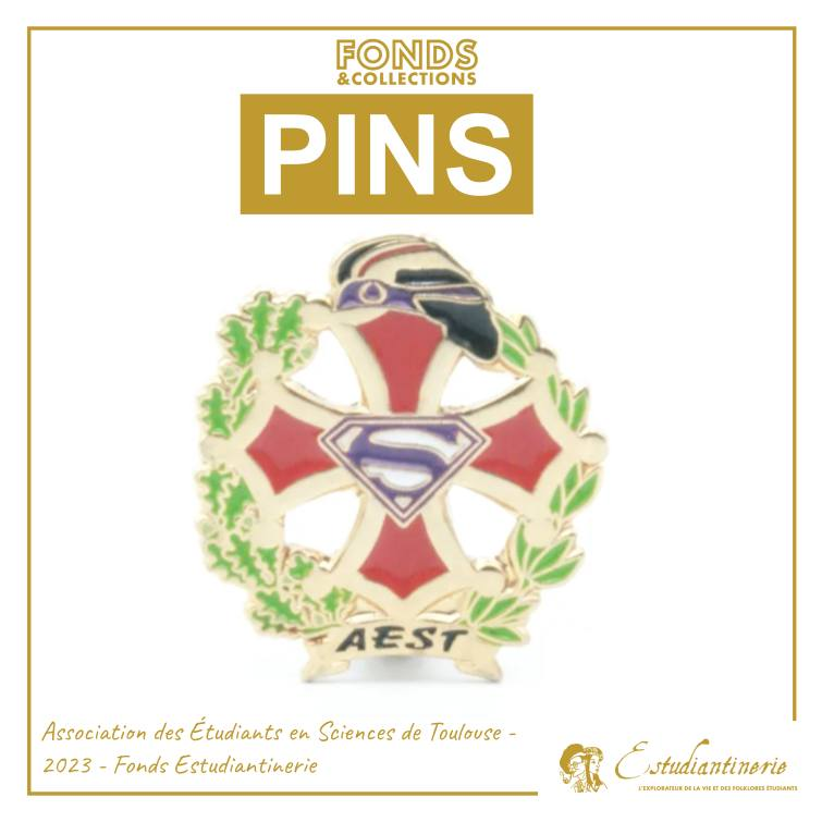 Pins Sciences Toulouse 2023