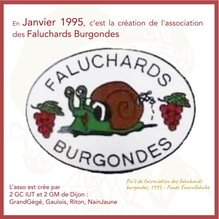 Faluchards Burgondes